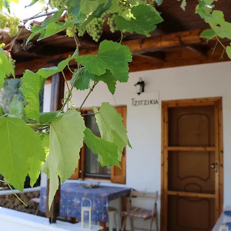 Hébergement de vacances Tzitzikia House
