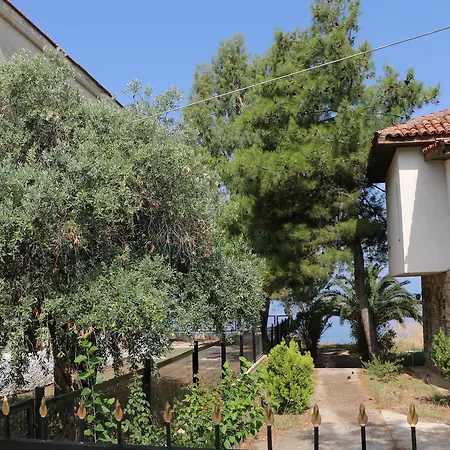 Tzitzikia House Hébergement de vacances