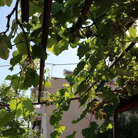 Hébergement de vacances Tzitzikia House Skála Kallirákhis