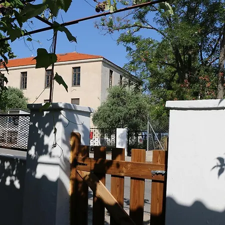 Tzitzikia House Hébergement de vacances