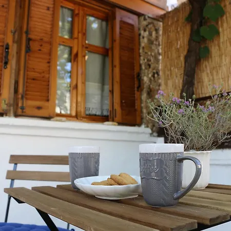 Hébergement de vacances Tzitzikia House *