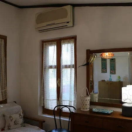 Hébergement de vacances Tzitzikia House *